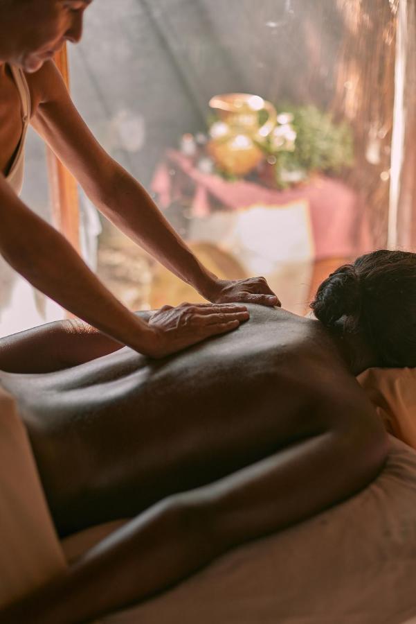 Our Habitas - Adults Only Tulum
